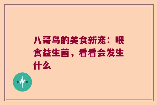 八哥鸟的美食新宠：喂食益生菌，看看会发生什么