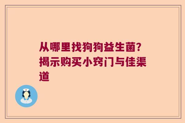 从哪里找狗狗益生菌？揭示购买小窍门与佳渠道
