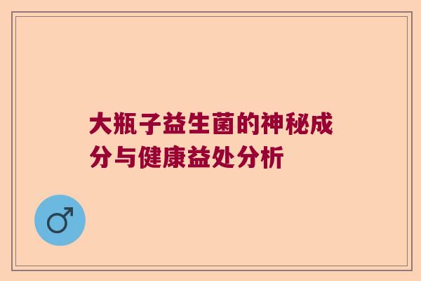 大瓶子益生菌的神秘成分与健康益处分析