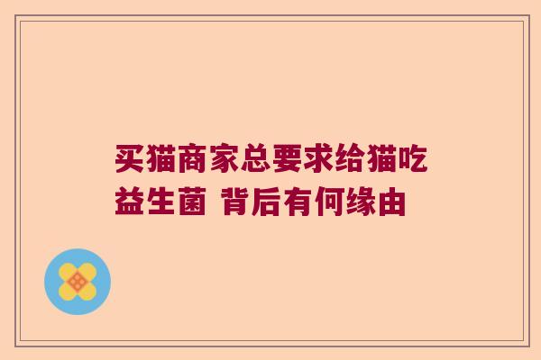 买猫商家总要求给猫吃益生菌 背后有何缘由 买猫商家总要求给猫吃益生菌 背后有何缘由