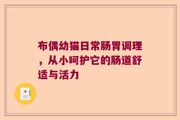 布偶幼猫日常肠胃调理，从小呵护它的肠道舒适与活力