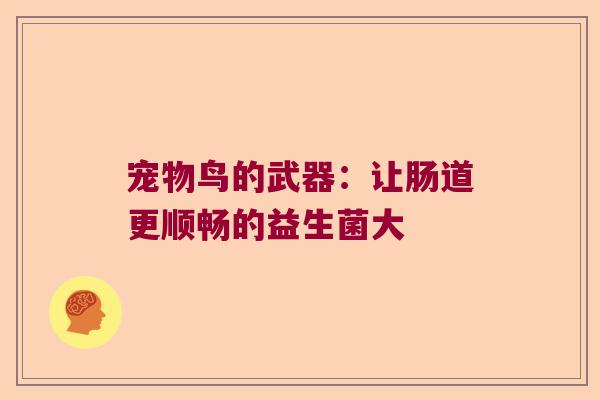 宠物鸟的武器:让肠道更顺畅的益生菌大 宠物鸟的武器:让肠道更顺畅的益生菌大