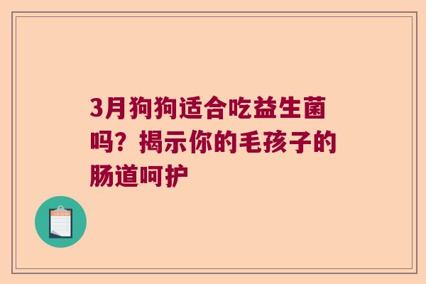 3月狗狗适合吃益生菌吗？揭示你的毛孩子的肠道呵护