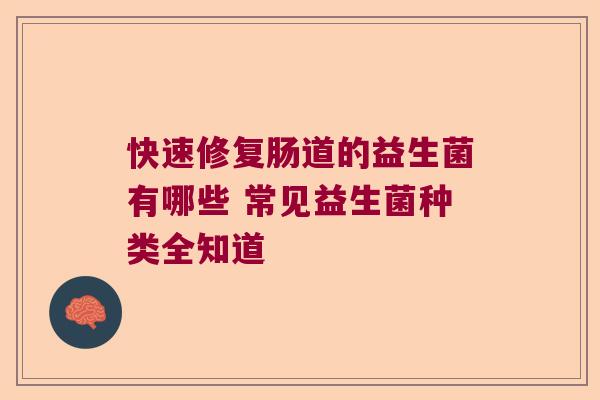 快速修复肠道的益生菌有哪些 常见益生菌种类全知道 快速修复肠道的益生菌有哪些 常见益生菌种类全知道