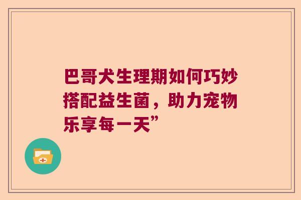 巴哥犬生理期如何巧妙搭配益生菌，助力宠物乐享每一天”