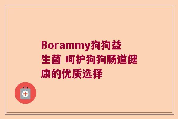 Borammy狗狗益生菌 呵护狗狗肠道健康的优质选择
