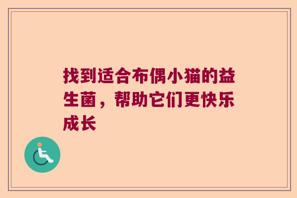 找到适合布偶小猫的益生菌，帮助它们更快乐成长