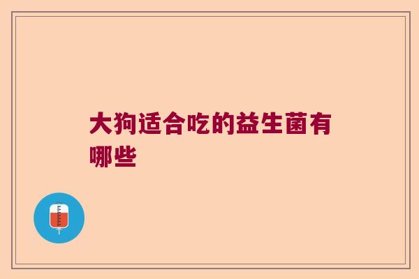 大狗适合吃的益生菌有哪些
