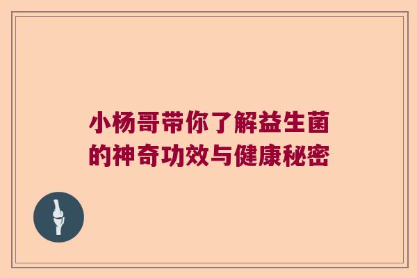 小杨哥带你了解益生菌的神奇功效与健康秘密