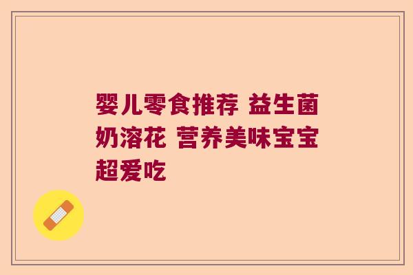 婴儿零食推荐 益生菌奶溶花 营养美味宝宝超爱吃