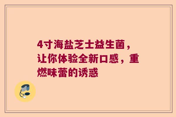 4寸海盐芝士益生菌,让你体验全新口感,重燃味蕾的诱惑 4寸海盐芝士益生菌,让你体验全新口感,重燃味蕾的诱惑