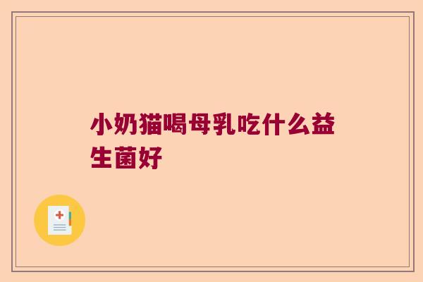 小奶猫喝母乳吃什么益生菌好