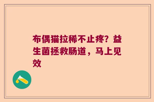 布偶猫拉稀不止疼？益生菌拯救肠道，马上见效