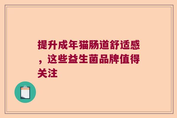 提升成年猫肠道舒适感，这些益生菌品牌值得关注