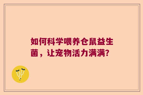 如何科学喂养仓鼠益生菌，让宠物活力满满？