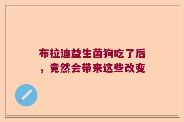 布拉迪益生菌狗吃了后，竟然会带来这些改变