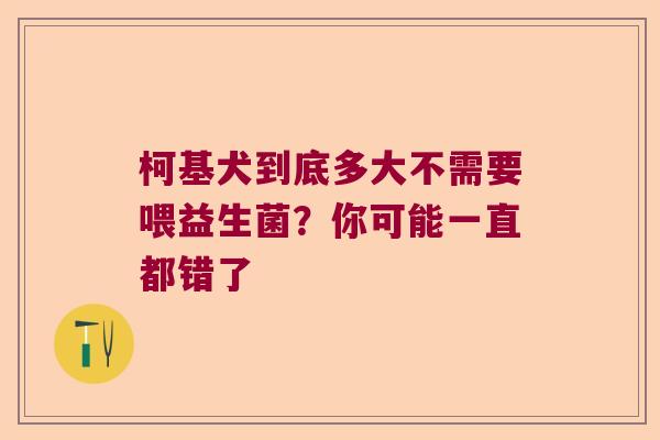 柯基犬到底多大不需要喂益生菌?你可能一直都错了 柯基犬到底多大不需要喂益生菌?你可能一直都错了