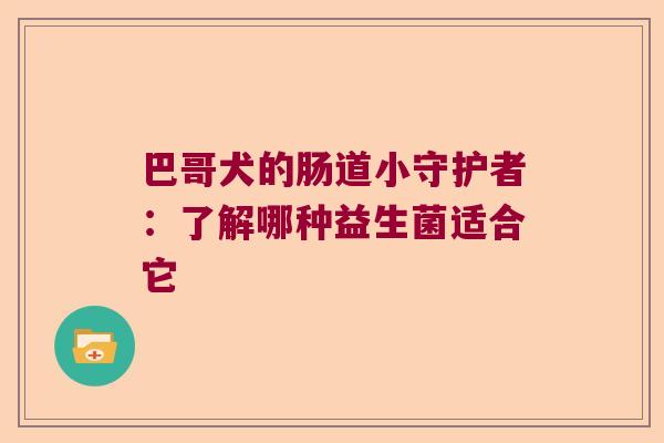 巴哥犬的肠道小守护者:了解哪种益生菌适合它 巴哥犬的肠道小守护者:了解哪种益生菌适合它