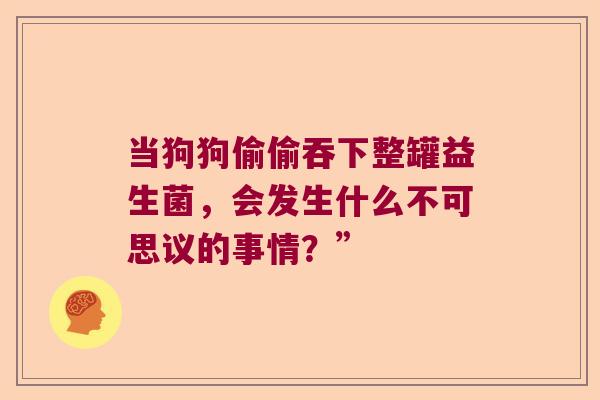 当狗狗偷偷吞下整罐益生菌，会发生什么不可思议的事情？”