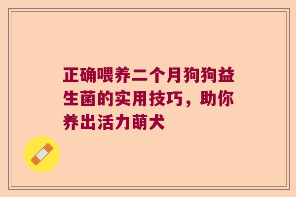 正确喂养二个月狗狗益生菌的实用技巧，助你养出活力萌犬