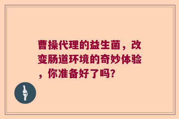 曹操代理的益生菌，改变肠道环境的奇妙体验，你准备好了吗？