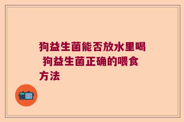 狗益生菌能否放水里喝 狗益生菌正确的喂食方法