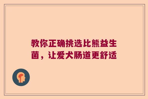 教你正确挑选比熊益生菌，让爱犬肠道更舒适