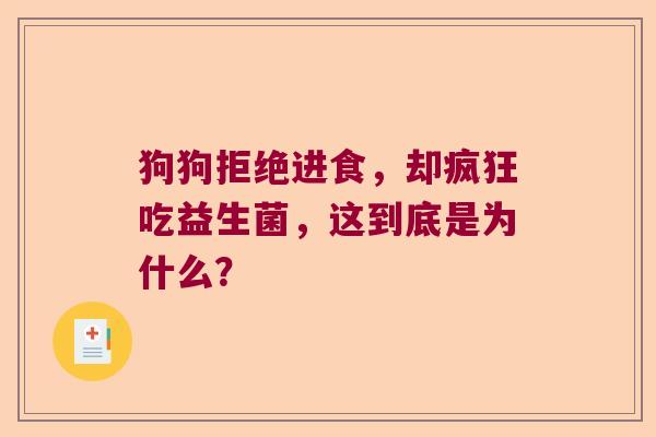 狗狗拒绝进食,却疯狂吃益生菌,这到底是为什么? 狗狗拒绝进食,却疯狂吃益生菌,这到底是为什么?