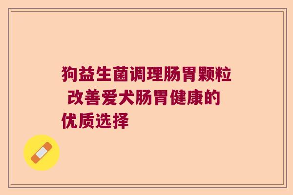 狗益生菌调理肠胃颗粒 改善爱犬肠胃健康的优质选择 狗益生菌调理肠胃颗粒 改善爱犬肠胃健康的优质选择