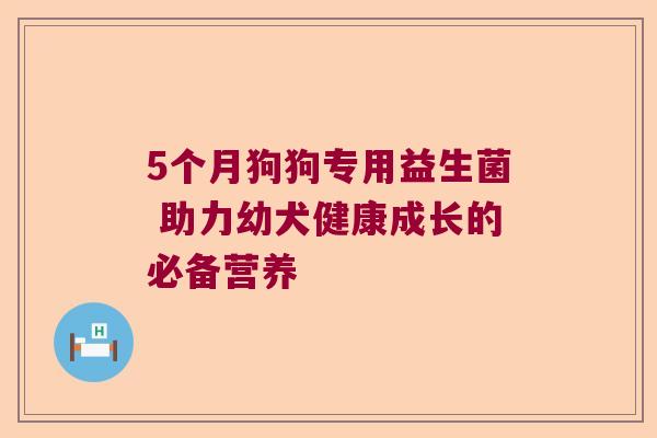 5个月狗狗专用益生菌 助力幼犬健康成长的必备营养 5个月狗狗专用益生菌 助力幼犬健康成长的必备营养