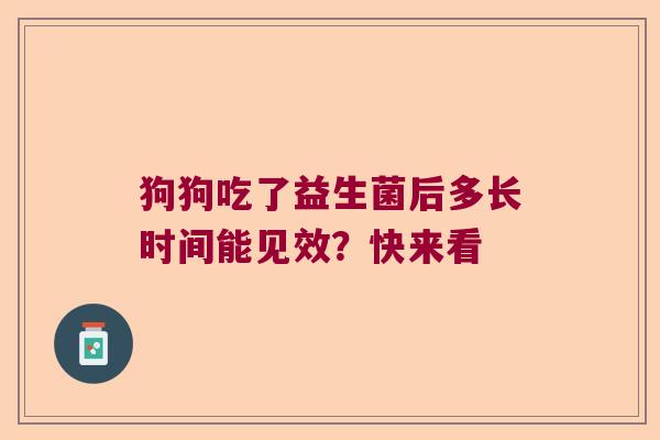 狗狗吃了益生菌后多长时间能见效?快来看 狗狗吃了益生菌后多长时间能见效?快来看