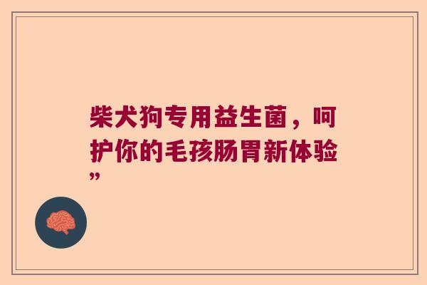柴犬狗专用益生菌,呵护你的毛孩肠胃新体验” 柴犬狗专用益生菌,呵护你的毛孩肠胃新体验”