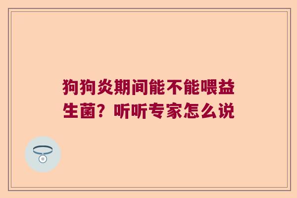 狗狗炎期间能不能喂益生菌？听听专家怎么说