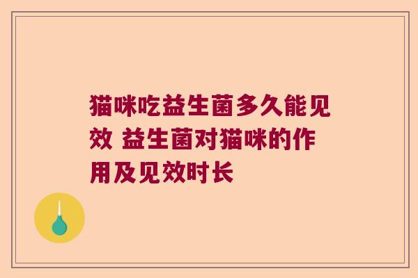 猫咪吃益生菌多久能见效 益生菌对猫咪的作用及见效时长