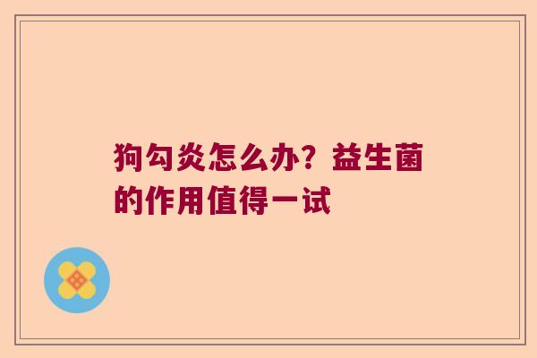 狗勾炎怎么办?益生菌的作用值得一试 狗勾炎怎么办?益生菌的作用值得一试