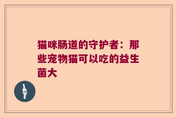 猫咪肠道的守护者：那些宠物猫可以吃的益生菌大