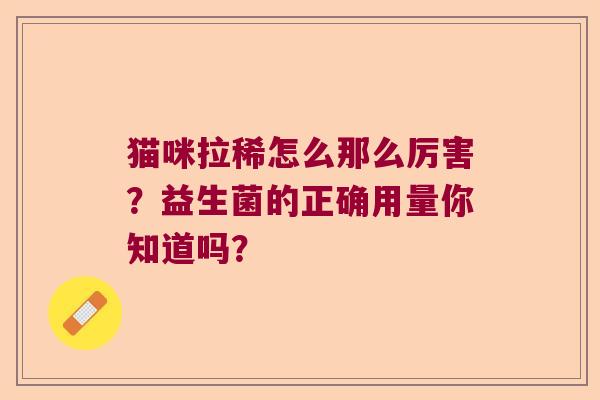 猫咪拉稀怎么那么厉害?益生菌的正确用量你知道吗? 猫咪拉稀怎么那么厉害?益生菌的正确用量你知道吗?
