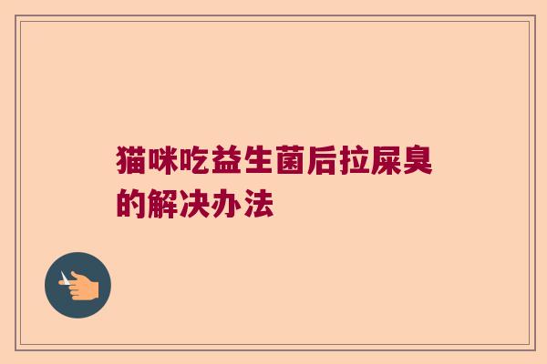 猫咪吃益生菌后拉屎臭的解决办法 猫咪吃益生菌后拉屎臭的解决办法